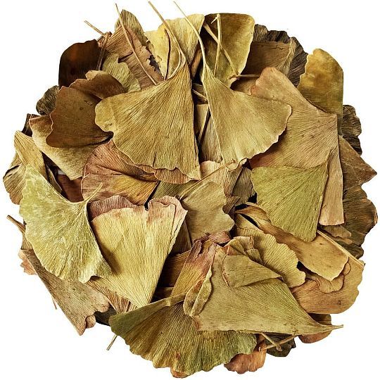 Сушене листя Гінкго